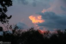 IMG 8639-Kenya, lightened cloud in Masai Mara